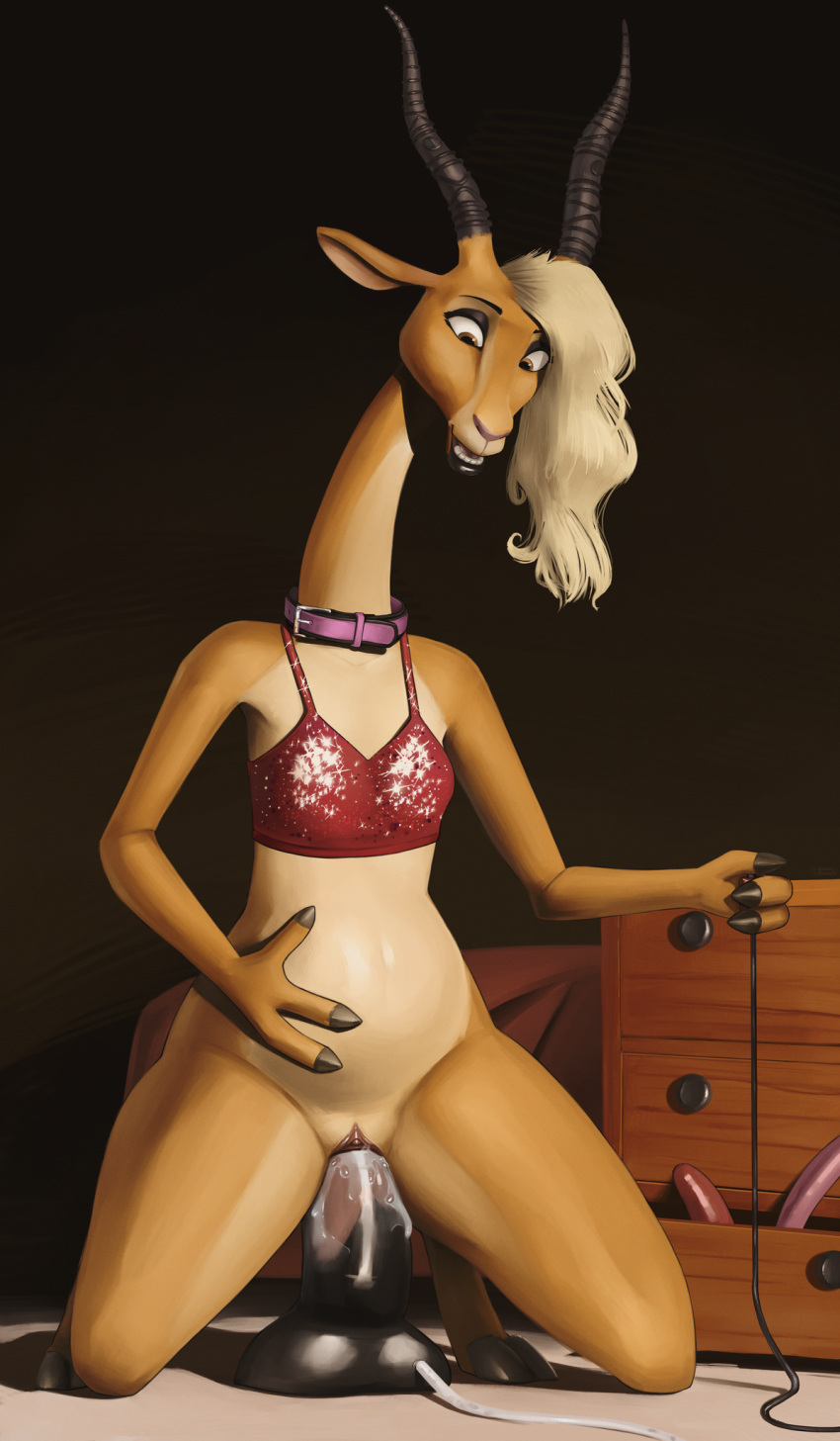 3_fingers abdominal_bulge akkusky antelope anthro balls blonde_hair bodily_fluids bottomless bovid bra breasts clothed clothing collar cum cum_in_pussy cum_inside digital_media_(artwork) dildo dildo_in_pussy dildo_insertion dildo_sitting disney feet female fingers fur furniture gazelle gazelle_(zootopia) genital_fluids genitals hair hi_res horn inflation kneeling looking_down mammal masturbation open_mouth penetration pussy pussy_juice sex_toy sex_toy_in_pussy sex_toy_insertion smile solo teeth tongue tongue_out true_antelope underwear vaginal vaginal_penetration zootopia