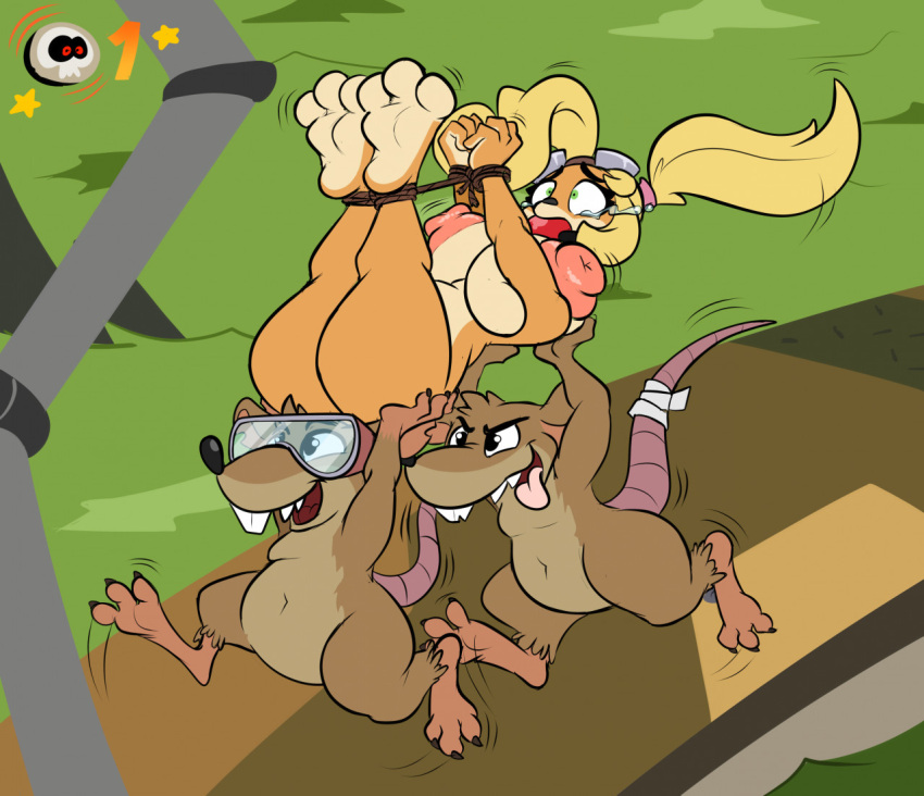 activision anthro big_breasts breasts butt coco_bandicoot crash_bandicoot_(series) denise_hyena female game_over gameplay_mechanics group male male/female mammal mouse murid murine nipples nude paws rodent thick_thighs tongue trio video_games