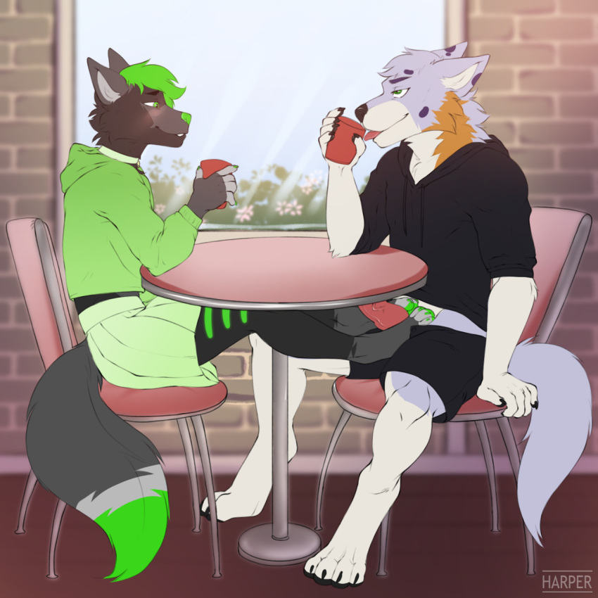 anthro beverage bottomwear canid canine canis clothing coffee container cup domestic_dog drinking duo feet foot_fetish foot_play footjob footjob_on_balls furniture herding_dog hi_res hoodie kaitoharo99 male male/male mammal pastoral_dog paws_around_penis paws_on_balls relieved rexly sex skirt table tongue tongue_out topwear