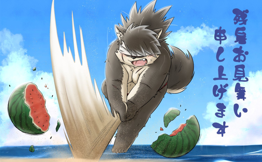 anthro asian_clothing beach belly blindfold canid canine canis clothing domestic_dog east_asian_clothing food fruit fundoshi fur grey_body grey_fur hair japanese_clothing japanese_text lifewonders male mammal melon mind_drive musclegut pecs plant ponytail scar seaside shino_(housamo) solo text tokyo_afterschool_summoners underwear video_games watermelon