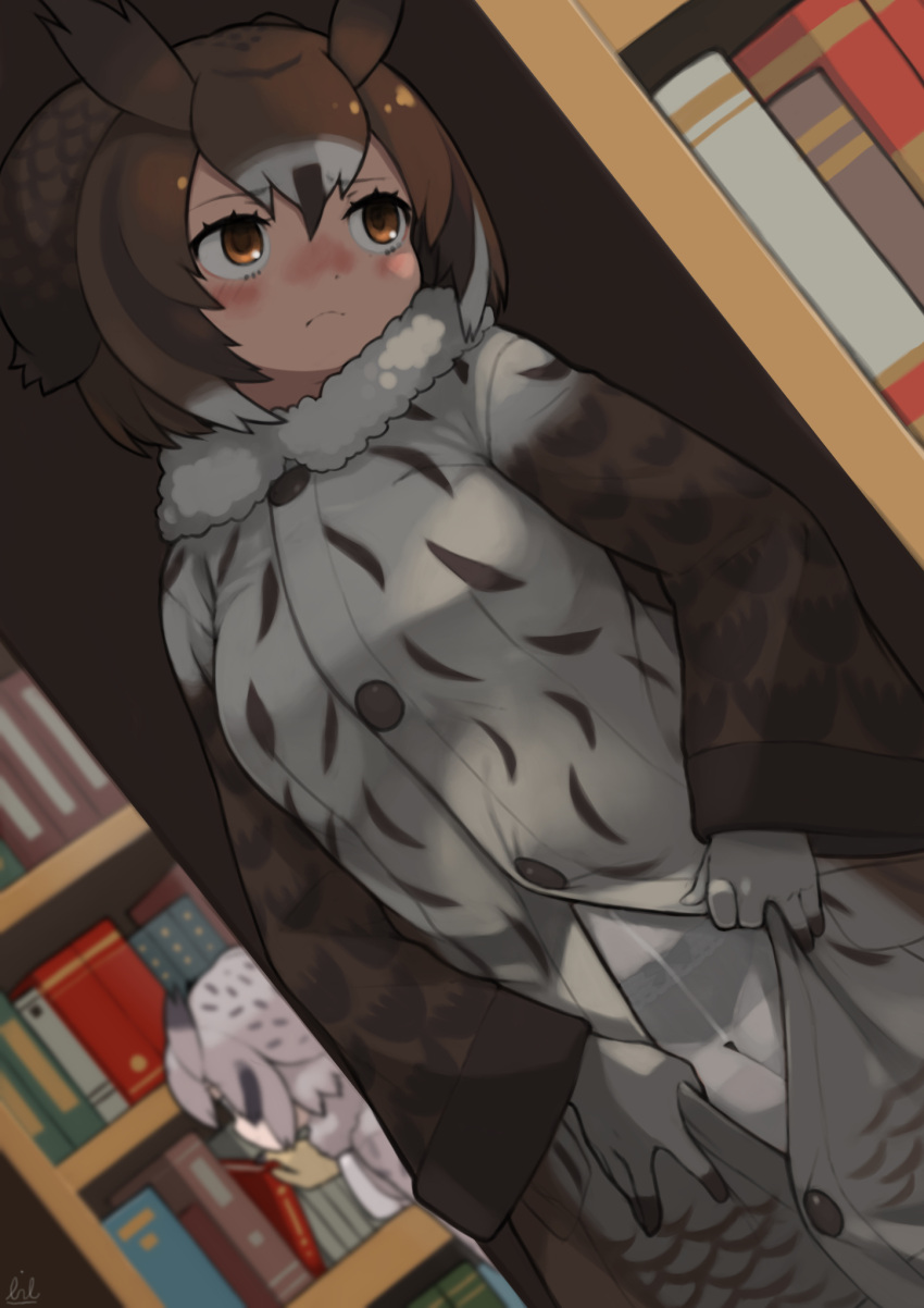 2girls bangs black_hair black_panties blush book bookshelf bow bow_panties brown_eyes brown_hair center_opening closed_mouth coat commentary_request crotch_seam dutch_angle eurasian_eagle_owl_(kemono_friends) flashing frown fur_collar furrowed_brow gloves grey_hair hair_between_eyes highres indoors kemono_friends long_sleeves looking_to_the_side looking_up medium_hair multiple_girls northern_white-faced_owl_(kemono_friends) nose_blush owl_ears panties panties_under_pantyhose pantyhose partially_unbuttoned rinx see-through see-through_legwear solo_focus thigh_gap underwear white_pantyhose