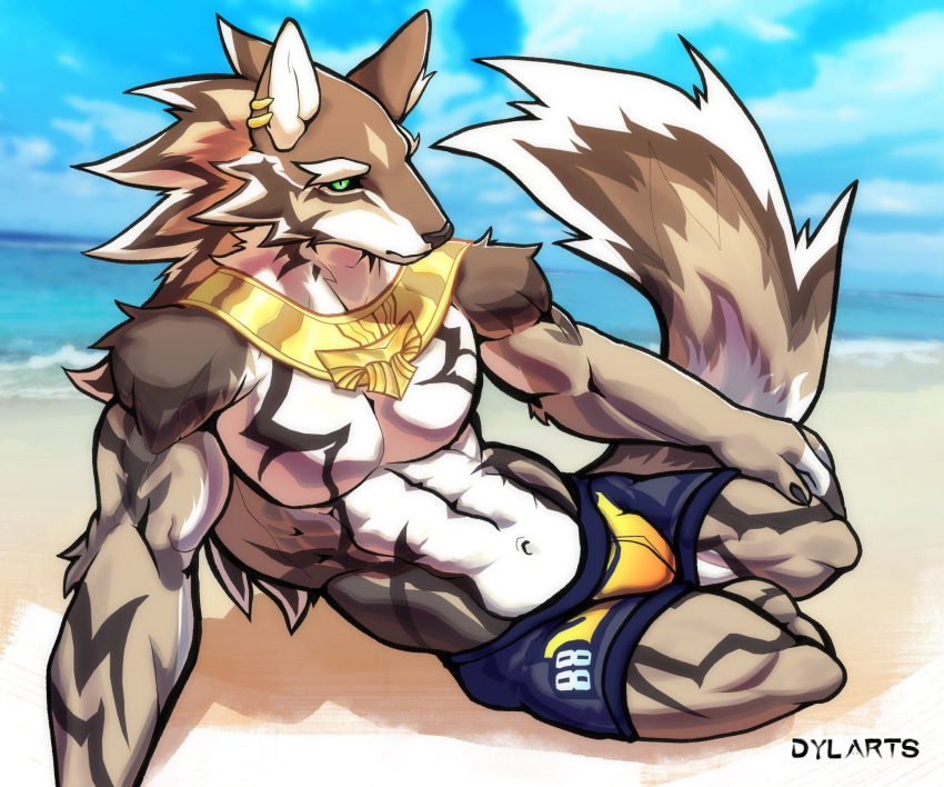 abs anthro beach bulge canid canine canis clothing dylarts ear_piercing ear_ring gold_(metal) gold_jewelry gold_necklace golden_earrings green_eyes hi_res jackal jewelry lifewonders looking_at_viewer male mammal navel necklace pecs piercing ring_piercing sea seaside seth_(tas) solo swimming_trunks swimwear tokyo_afterschool_summoners video_games water