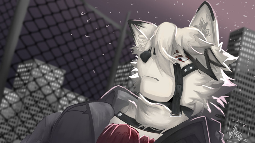 2022 anthro black_clothing black_topwear bust_portrait butler canid canine canis city clothing cpaslocl detailed_background fur harness hi_res inner_ear_fluff male mammal metal_fence mihoyo muzzle_(object) night_sky portrait signature skyscraper solo topwear tuft video_games von_lycaon watermark white_body white_fur wolf zenless_zone_zero