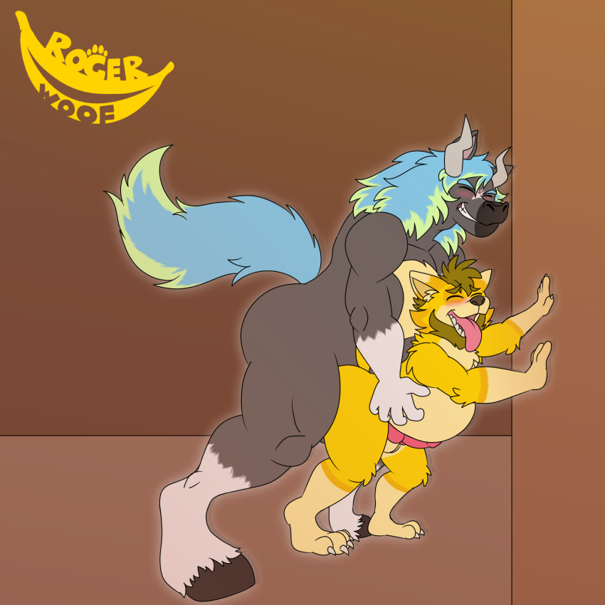 anthro beard blush bread canid canine canis domestic_dog duo equid equine facial_hair food genitals grey_body hair hi_res hooves horn horse hybrid male male/male mammal penis rogerwoof rogerwoof_(character) stoner_(rogerwoof) tongue tongue_out yellow_body