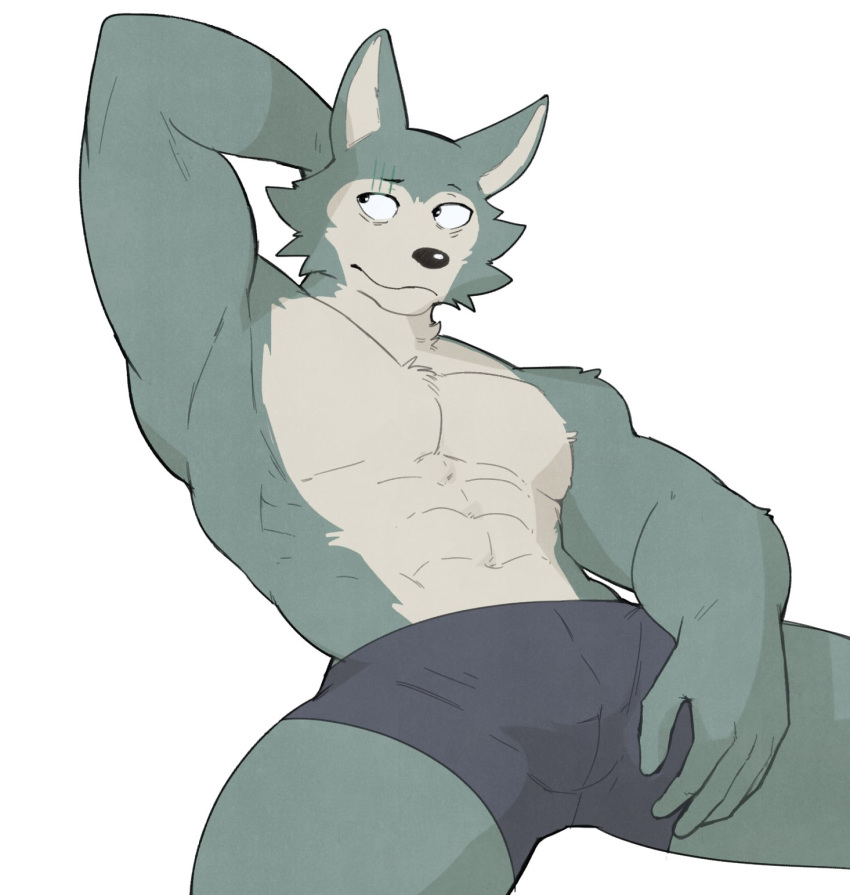 abs anthro beastars canid canine canis clothing eye_scar facial_scar fur grey_body grey_fur hi_res jrjresq legoshi_(beastars) male mammal multicolored_body multicolored_fur muscular muscular_anthro muscular_male scar simple_background solo two_tone_body two_tone_fur white_background wolf