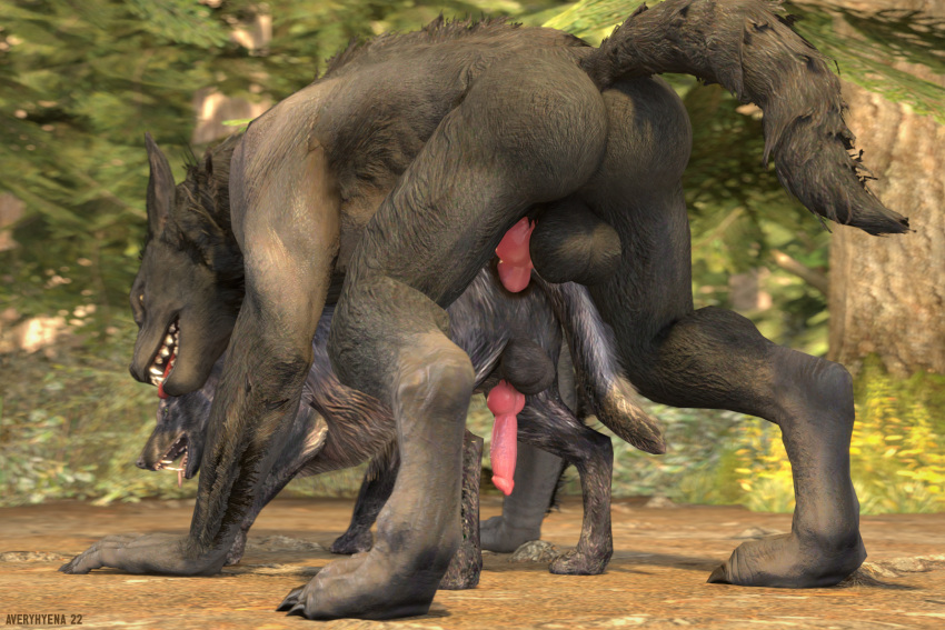 2022 3:2 3d_(artwork) all_fours anal anal_penetration animal_genitalia animal_penis anthro anthro_on_feral anthro_penetrating anus averyhyena balls bestiality bethesda_softworks big_balls big_penis butt canid canine canine_penis canis digital_media_(artwork) doggystyle duo erection feral from_behind_position fur genitals hi_res interspecies knot larger_male male male/male male_on_feral male_penetrated male_penetrating male_penetrating_male mammal nude outdoor_sex outside paws penetration penis sex size_difference skyrim skyrim_werewolf smaller_male source_filmmaker the_elder_scrolls video_games were werecanid werecanine werewolf wolf