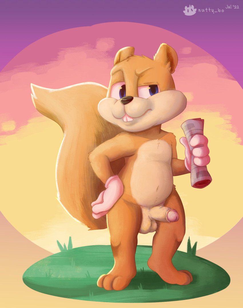 anthro balls blue_eyes casual_nudity conker conker's_bad_fur_day countershading erection fur genitals hi_res humanoid_genitalia humanoid_penis looking_at_viewer male mammal nude nutty_bo outside penis public rareware rodent sciurid simple_background solo video_games