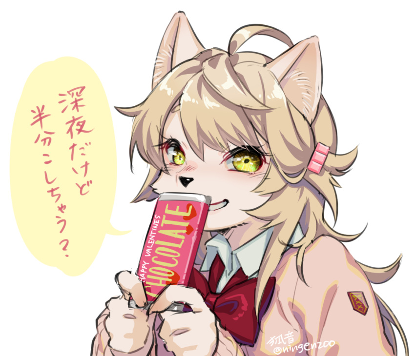 accessory ahoge anthro artist_name blush bow_tie candy canid canine chocolate clothing dessert female food fur grin hair hair_accessory holidays ichiri_(ningenzoo) japanese_text kemono looking_at_viewer mammal ningenzoo school_uniform shy smile solo speech_bubble tan_body tan_fur text translation_request uniform valentine's_day yellow_eyes