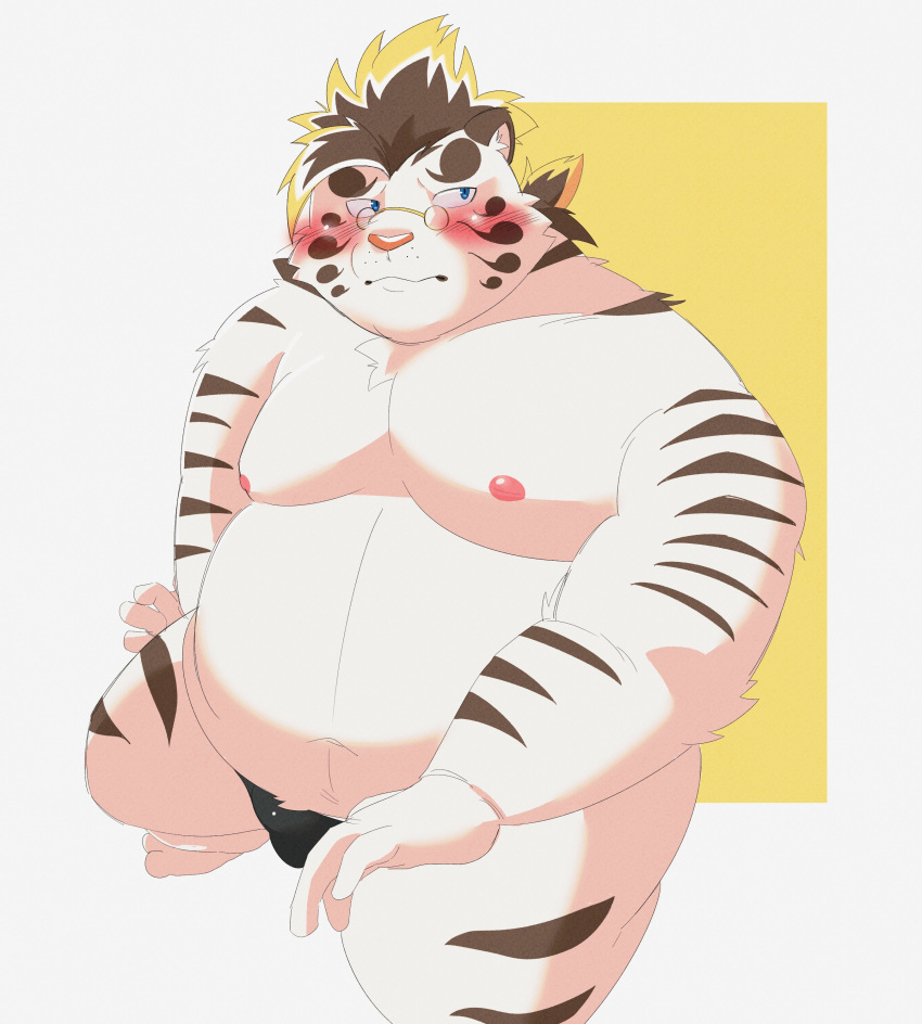 2022 absurd_res anthro belly big_belly blush clothing eyewear felid glasses hi_res humanoid_hands kemono licho_(tas) lifewonders male mammal moobs nipples overweight overweight_male pantherine saheul_s simple_background solo tiger tokyo_afterschool_summoners underwear video_games white_body