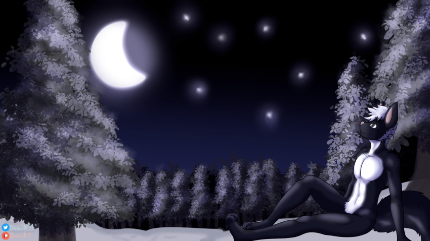 anthro canid canine canis draik forest full_moon hi_res male mammal moon night plant simple_background snow solo star tree wallpaper wolf