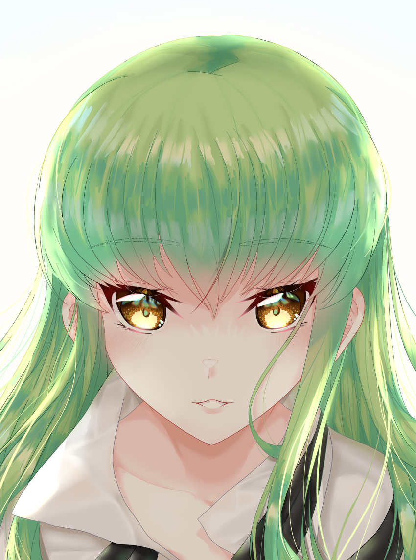 1girl absurdres bangs budgiepon c.c. code_geass collarbone green_hair hair_between_eyes highres long_hair looking_at_viewer parted_lips portrait shiny shiny_hair simple_background solo straight_hair white_background yellow_eyes