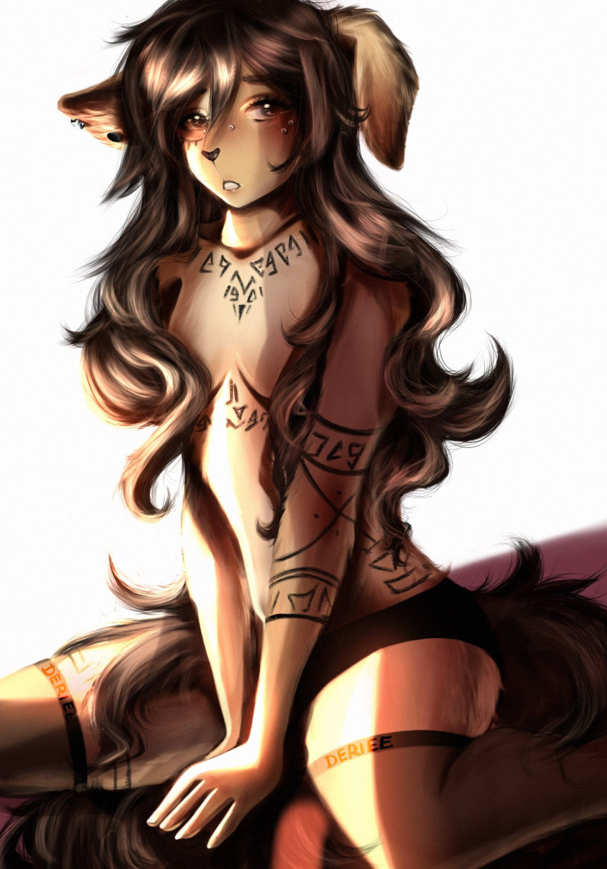 anthro apogee_(tinygaypirate) breasts brown_body brown_eyes brown_fur brown_hair canid canine canis clothed clothing convenient_censorship deriee_(artist) digital_media_(artwork) domestic_dog ear_piercing facial_piercing female fingers footwear fur hair hi_res long_hair looking_at_viewer mammal markings panties piercing sitting socks solo spitz topless topless_anthro topless_female tuft underwear