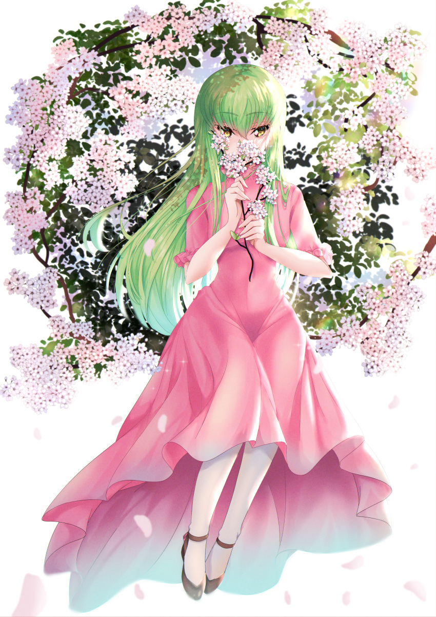 1girl absurdres bangs black_footwear budgiepon c.c. code_geass dress flower full_body green_hair hair_between_eyes highres holding long_hair looking_at_viewer petals pink_dress shiny shiny_hair short_sleeves sitting solo straight_hair very_long_hair white_flower yellow_eyes