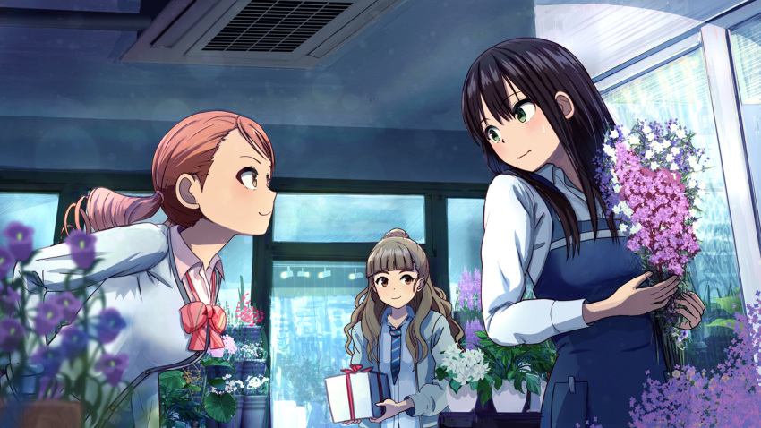 3girls air_conditioner apron bangs blue_apron blunt_bangs blush bow bowtie box commentary_request double_bogey drill_hair eye_contact facing_another flower flower_shop gift gift_box hair_bun hojo_karen holding holding_flower idolmaster idolmaster_cinderella_girls indoors kamiya_nao leaning_forward looking_at_another loose_bowtie loose_necktie multiple_girls necktie purple_flower school_uniform shibuya_rin shop single_hair_bun smile triad_primus_(idolmaster)