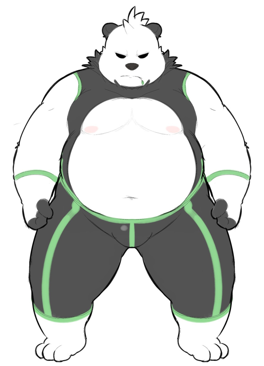 2022 anthro belly big_belly black_nose bulge clothed clothing gumpang0 hi_res kemono male moobs nintendo nipples overweight overweight_male pangoro pok&eacute;mon pok&eacute;mon_(species) simple_background solo video_games white_body