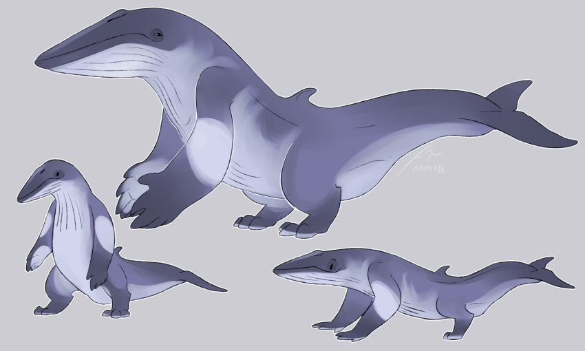 ambiguous_gender blue_body blue_eyes blue_tail cetacean dorsal_fin dot_eyes fin glistening glistening_eyes grey_background imperatorcaesar mammal marine mouth_closed multiple_images quadruped side_view signature simple_background solo standing