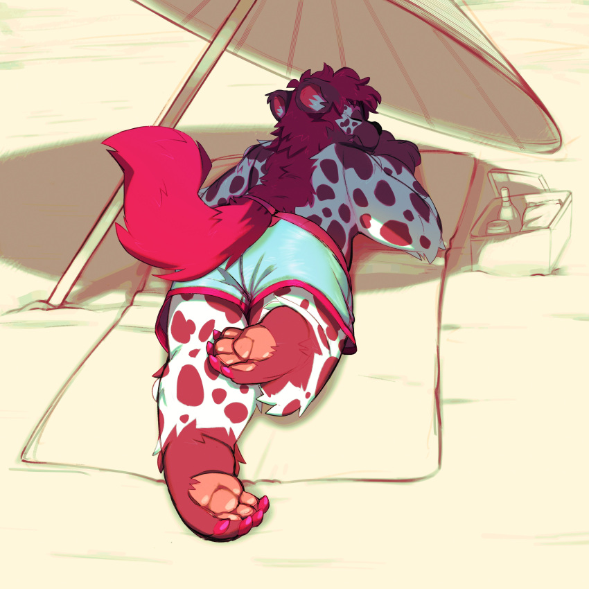 absurd_res anthro basket beach brown_body brown_fur claws container eyes_closed fur hair hi_res hyaenid lying male mammal on_front parasol paws picnic_basket pink_paws resting seaside shadow shockstk shorts_only solo spots spotted_body spotted_fur spotted_hyena summer white_body white_fur