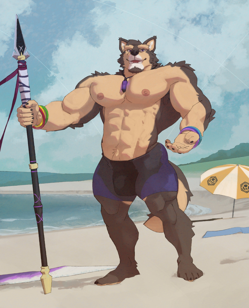 abs absurd_res anthro beach bottomwear brown_body brown_fur bulge canid canine canis clothing domestic_dog fur hi_res jewelry lifewonders live-a-hero male mammal melee_weapon muscular muscular_anthro muscular_male necklace nipples pecs polearm pubraseer ripped-saurian seaside shorts solo spear swimwear video_games weapon