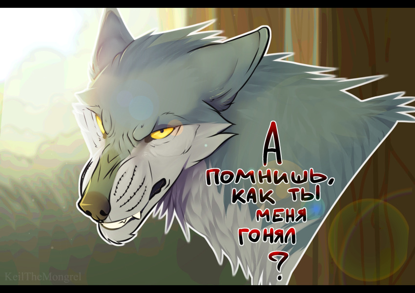 angry bright_light canid canine canis dawn_(disambiguation) fangs feral hi_res keilthemongrel light male mammal plant russian_text solo soyuzmultfilm sunlight text there_once_was_a_dog tree wolf yellow_eyes