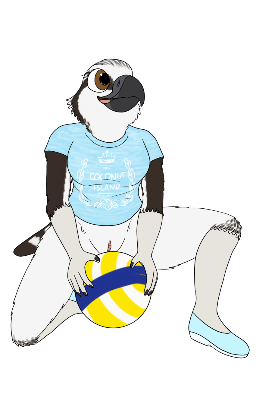 absurd_res accipitriform anthro avian ball balls beach_ball bird bottomless bottomless_female clothed clothing crouching female fish_birb footwear genitals hi_res inflatable lizzy_(fish_birb) osprey pussy sandals shirt solo t-shirt topwear