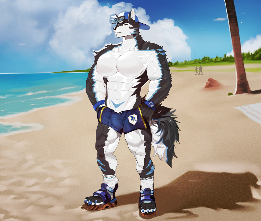 2022 5_fingers abs absurd_res anthro archermagnum beach beverage black_body black_fur black_nose blue_body blue_claws blue_fur bulge canid canine canis claws clothing digital_media_(artwork) digitigrade endn fingers fluffy fluffy_tail fur hi_res male mammal muscular muscular_anthro muscular_male nipples pecs seaside signature solo standing thunderrangers tuft underwear walking white_body white_fur wolf yellow_eyes