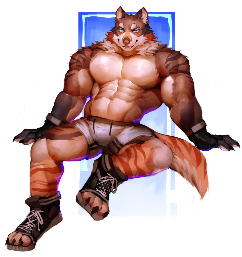 absurd_res anthro bottomwear bulge canid canine canis clothing coyote coywolf footwear good_boy hi_res hybrid looking_at_viewer male mammal muscular o_reowoof pecs pylon(dangerpylons) shorts smile smirk solo solo_focus wolf