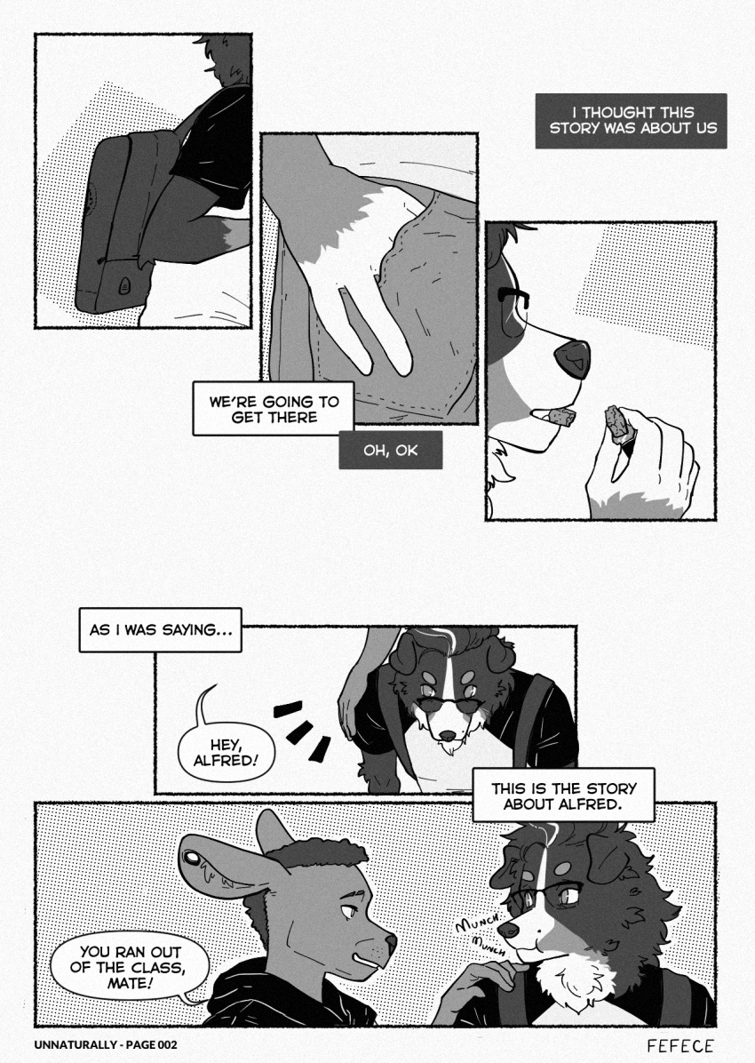 alfred_(fefece) bernese_mountain_dog black_and_white canid canine canis comic dialogue domestic_dog duo eating eyewear fefece friends glasses hi_res kangaroo macropod male mammal marsupial molosser monochrome mountain_dog piercing pockets_(fefece) speech_bubble swiss_mountain_dog text