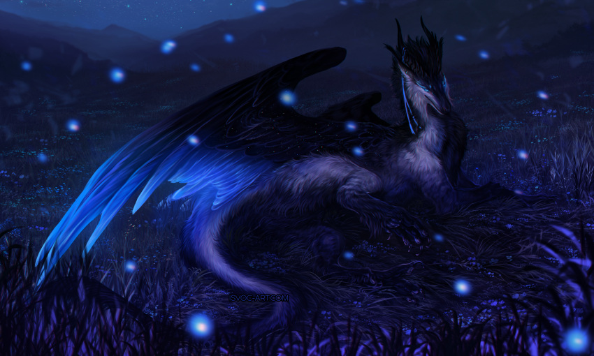 2022 ambiguous_gender black_body black_fur blue_body blue_eyes blue_feathers detailed_background digital_media_(artwork) dragon feathered_dragon feathered_wings feathers feet feral fur furred_dragon grass grey_body grey_fur hi_res horn isvoc night outside plant sky solo star starry_sky toes wings