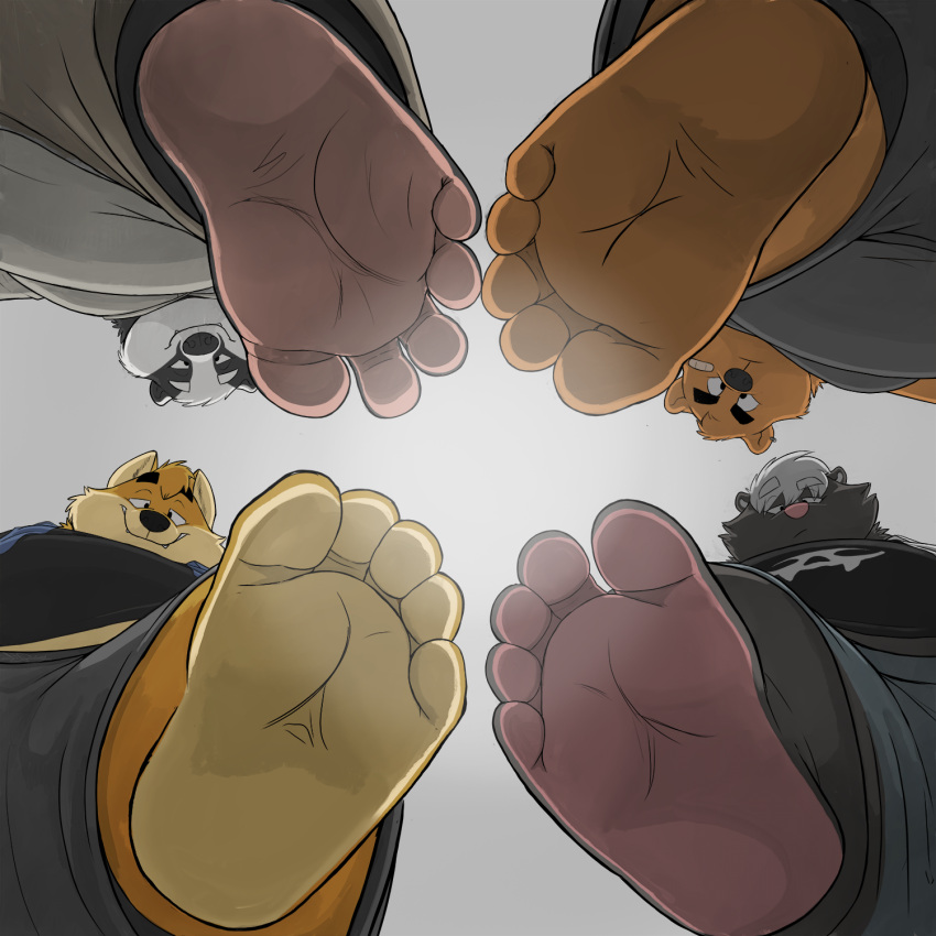 5_toes anthro band-aid bandage barefoot canid canine canis dj-rodney feet foot_fetish foot_focus fox group hi_res hybrid looking_at_viewer looking_down macro male male/male mammal mephitid micro mustelid musteline paws pose skunk soles toes ursid