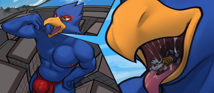 absurd_res avian bird bodily_fluids bulge city clothing falco_lombardi genital_outline hi_res high-angle_view macro mammal nintendo procyonid raccoon ruka_(raccoonvandal) rygel_spkb saliva soft_vore speedo star_fox swimwear tongue tongue_out tongue_play video_games vore