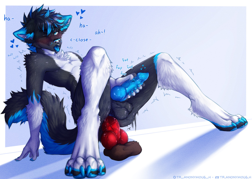 &lt;3 4_toes absurd_res anal anal_masturbation anal_penetration animal_genitalia animal_penis anthro balls black_body black_fur black_hair blue_eyes blue_highlights blush canid canine canine_penis canis chest_tuft claws dildo dildo_sitting domestic_dog feet fur genitals hair hi_res highlights_(coloring) husky knot knotted_dildo male mammal masturbation moan nordic_sled_dog nude one_eye_closed paws penetration penis sex_toy shaking simple_background solo spitz text toe_claws toes tr.anonymous.h trembling tuft white_background white_body white_fur