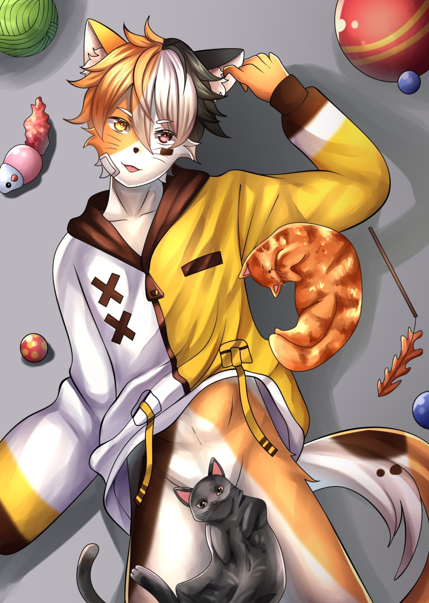 anthro bottomless clothed clothing domestic_cat felid feline felis fur haru_(renkranel) hi_res lying male male/male mammal mickeysp orange_body orange_fur pet_toy solo