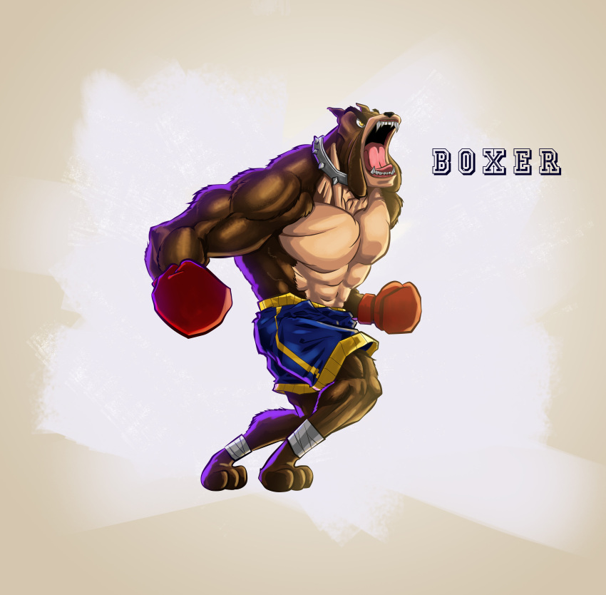 abs absurdres angry animal animal_collar animal_ears animal_hands boxer boxers boxing boxing_gloves brown_fur collar dinhographx dog dog_ears furry furry_male highres male_underwear muscular muscular_male original pectorals shorts teeth thong underwear yellow_eyes