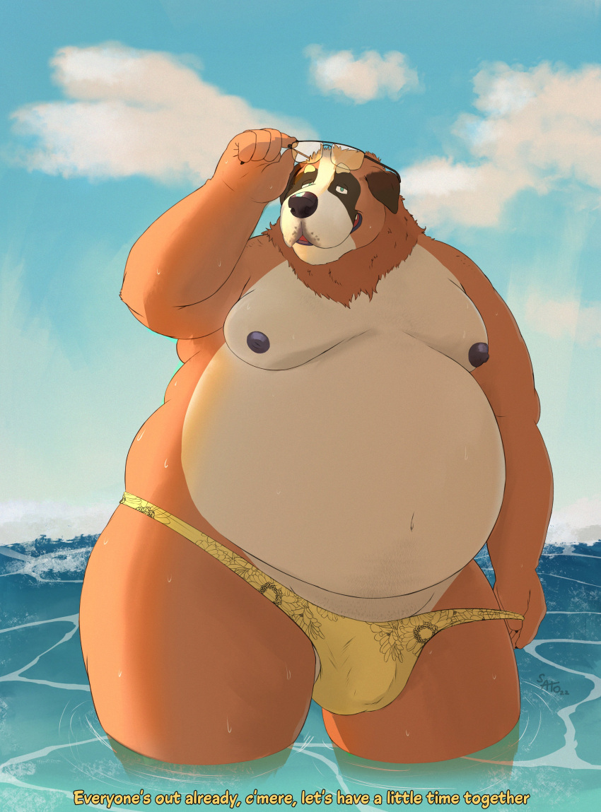 2022 absurd_res anthro belly big_belly bulge canid canine canis clothing cloud domestic_dog eyewear glasses hi_res humanoid_hands male mammal moobs nipples obese obese_male outside overweight overweight_male sato_afroleone solo swimwear underwear water