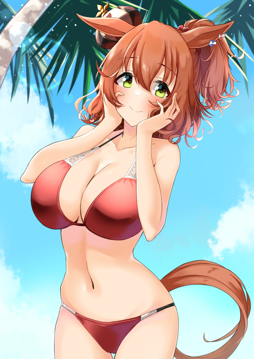 1girl absurdres animal_ears aston_machan_(umamusume) bangs bare_arms bare_shoulders bikini blue_sky blush brown_hair cloud commentary_request cowboy_shot day green_eyes hands_up highres horse_ears komb looking_at_viewer medium_hair navel ponytail red_bikini sky smile solo standing stomach swimsuit tail umamusume
