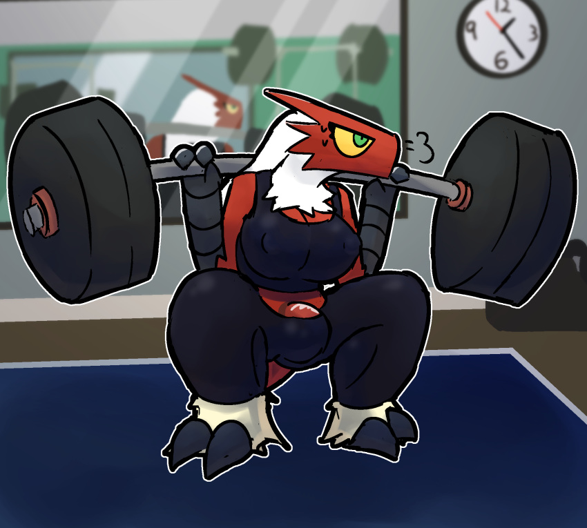 anthro avian blaziken breasts bulge carol_(otterjunk) clothing exercise genitals gym gynomorph hi_res intersex mirror nintendo otterjunk penis pok&eacute;mon pok&eacute;mon_(species) solo sweatpants tagme tight_clothing video_games weightlifting workout