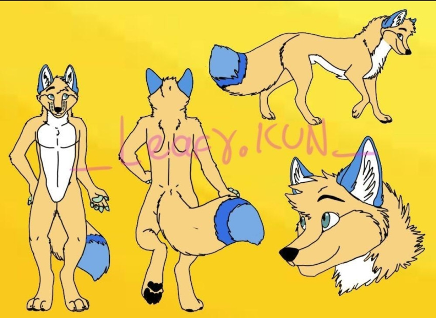 anthro biped canid canine digitigrade dipstick_tail feral inner_ear_fluff male mammal markings model_sheet quadruped simple_background solo tail_markings tuft yellow_background