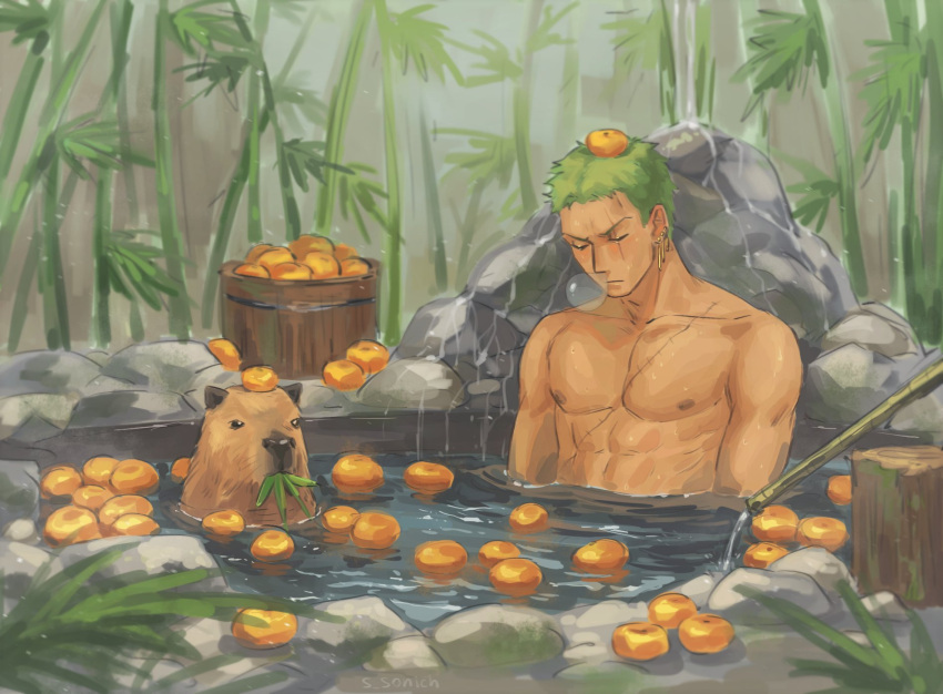 1boy abs animal bamboo bathing bucket capybara closed_eyes closed_mouth earrings food fruit green_hair highres jewelry leaf male_focus nipples nose_bubble nude one_piece orange_(fruit) pectorals roronoa_zoro scar scar_across_eye scar_on_chest scar_on_face short_hair sleeping sonich water