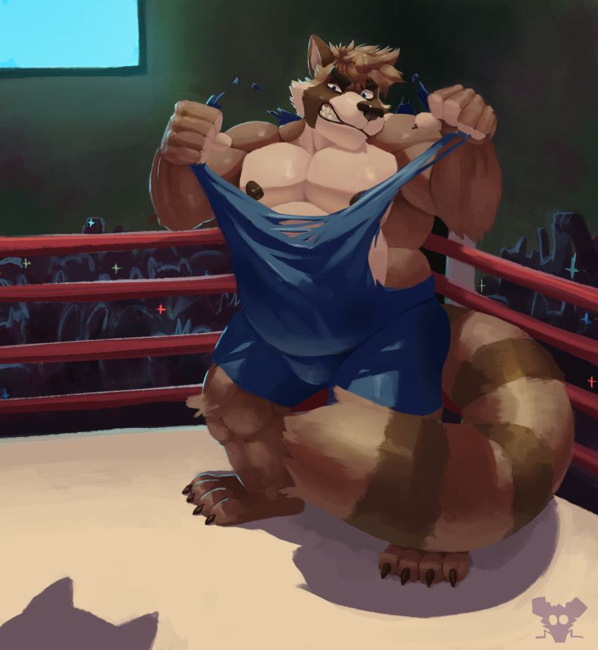 anthro archiblender clothing crowd fighting_ring group hi_res ludd male mammal musclegut muscular overweight procyonid raccoon solo torn_clothing wrestling_singlet