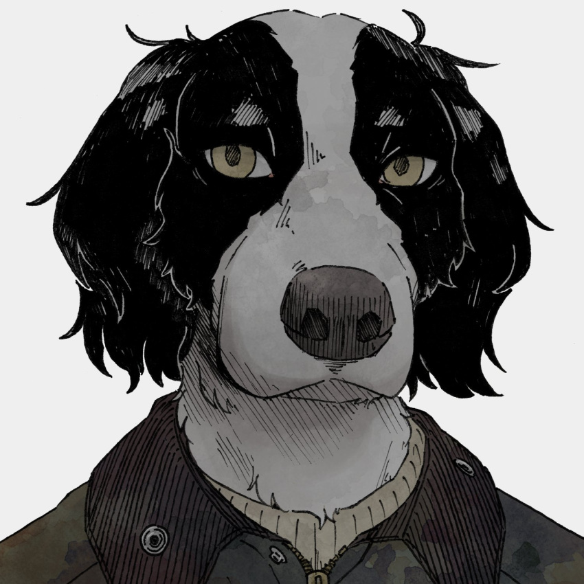 1:1 1t0u 2022 anthro border_collie canid canine canis clothing collie domestic_dog fur hatching_(art) headshot_portrait herding_dog hi_res jacket looking_at_viewer mammal multicolored_body multicolored_fur pastoral_dog portrait shaded sheepdog simple_background solo topwear two_tone_body two_tone_fur white_background yellow_eyes