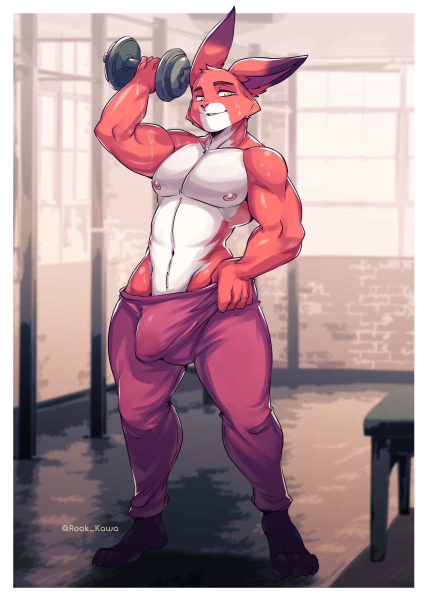 absurd_res anthro bodily_fluids bulge clothed clothing countershade_torso countershading dumbbell exercise genital_outline gym hi_res lagomorph leporid looking_at_viewer male mammal muscular muscular_anthro muscular_male pants_only pecs penis_outline rabbit rookie_bear solo sweat topless weights workout