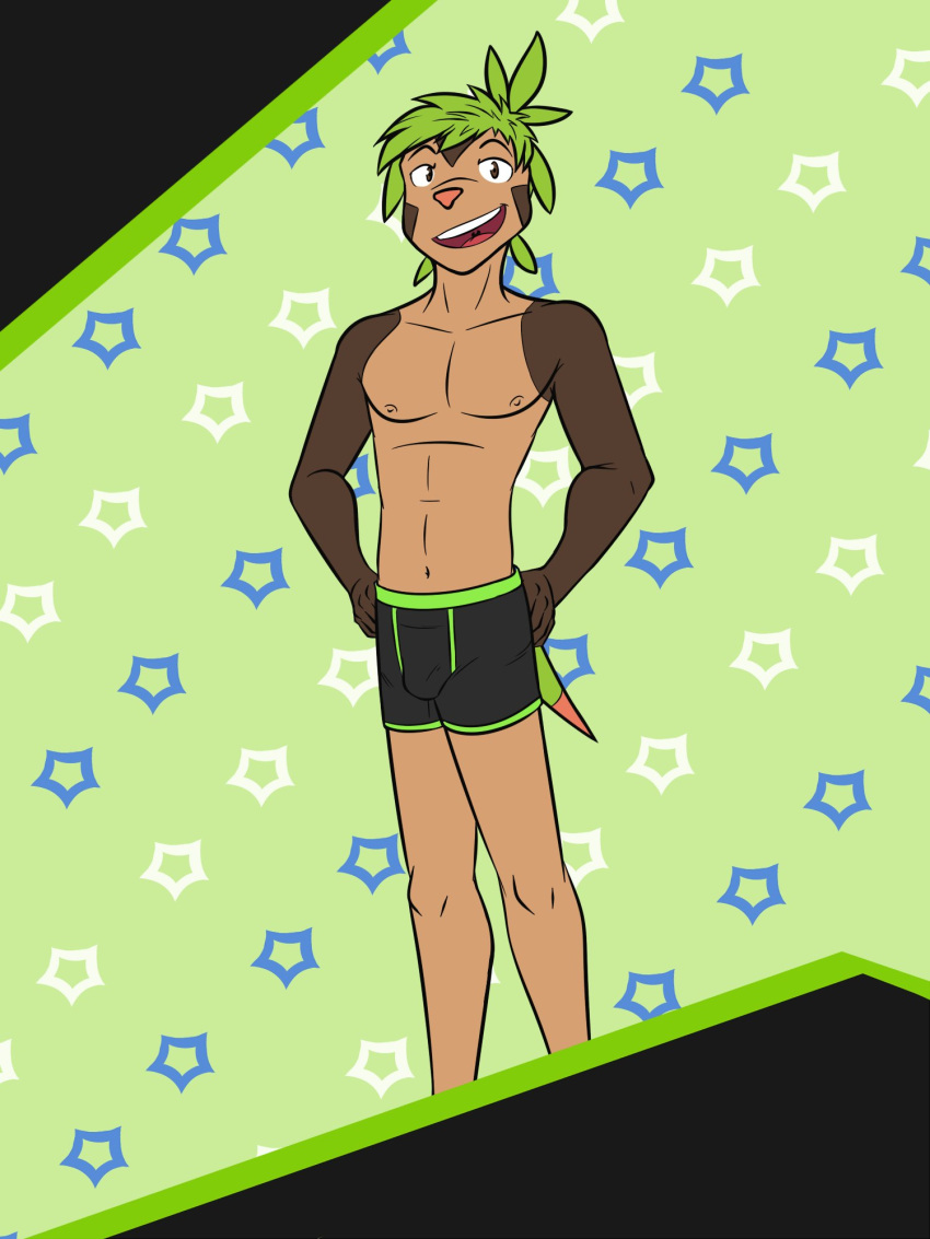 3:4 abstract_background anthro anthrofied boxer_briefs boxer_briefs_only bulge chespin cid_(fuze) clothed clothing fuze hi_res male navel nintendo nipples pok&eacute;mon pok&eacute;mon_(species) pok&eacute;morph solo topless underwear underwear_only video_games