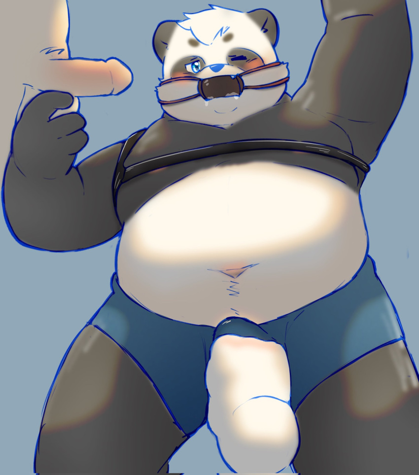 2022 anthro ball_gag balls belly bulge clothing erection gag genitals giant_panda group hi_res male male/male mammal navel one_eye_closed overweight penis solo_focus thepanda0309 underwear ursid young