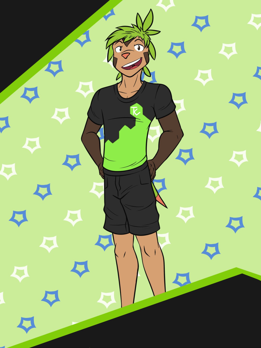 abstract_background anthro anthrofied bottomwear chespin cid_(fuze) clothed clothing fully_clothed fuze hi_res male nintendo pok&eacute;mon pok&eacute;mon_(species) pok&eacute;morph shirt shorts solo t-shirt topwear video_games