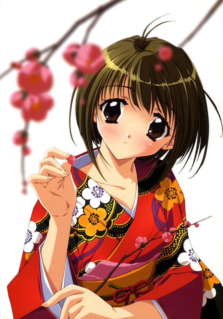 kadoi_aya kimono tagme