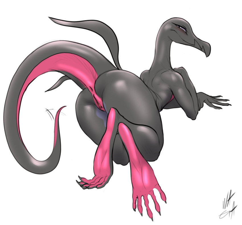 2019 5_toes all_fours anthro anus black_body butt feet female genitals looking_at_viewer looking_back looking_back_at_viewer nintendo nude nude_anthro nude_female pok&eacute;mon pok&eacute;mon_(species) presenting presenting_hindquarters pussy salazzle scalie simple_background soles solo toes video_games w4g4 white_background