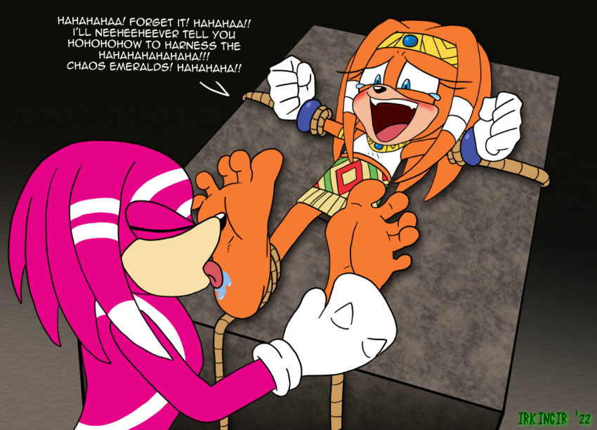 5_toes anthro bdsm bodily_fluids bound duo echidna feet female foot_fetish foot_focus foot_lick foot_play irkingir knuckles_tribe laugh licking male male/female mammal monotreme rope sega soles sonic_adventure sonic_the_hedgehog_(series) tears tickle_fetish tickle_torture tickling tickling_feet tikal_the_echidna toes tongue tongue_out
