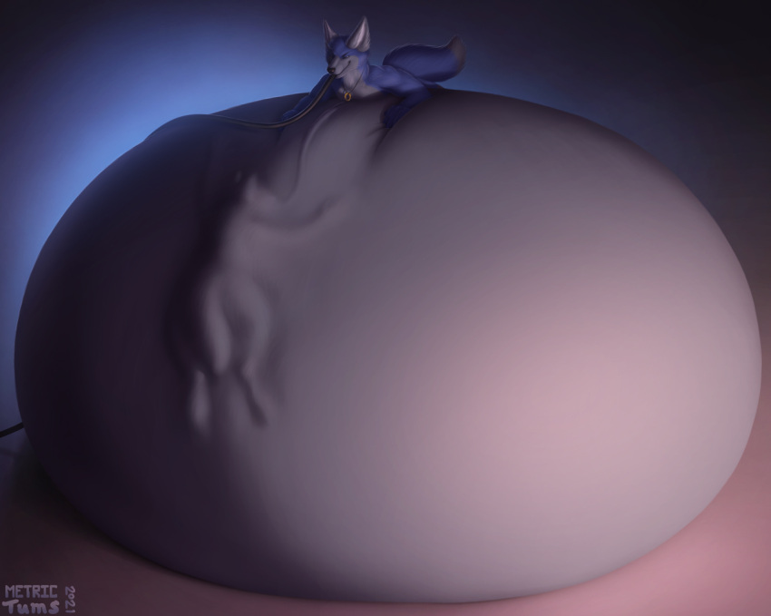 2021 abdominal_bulge anthro belly belly_expansion belly_inflation big_belly blue_body blue_fur bulge canid canine detailed_bulge duo expansion fox fur grey_belly hands_on_belly hose_in_mouth hose_inflation hyper hyper_belly immobile inflation inflation-ception jewelry lying male male/male male_pred male_prey mammal metrictums monty_(blancmont) necklace necklace_only nude on_front oral_vore ring_necklace vore