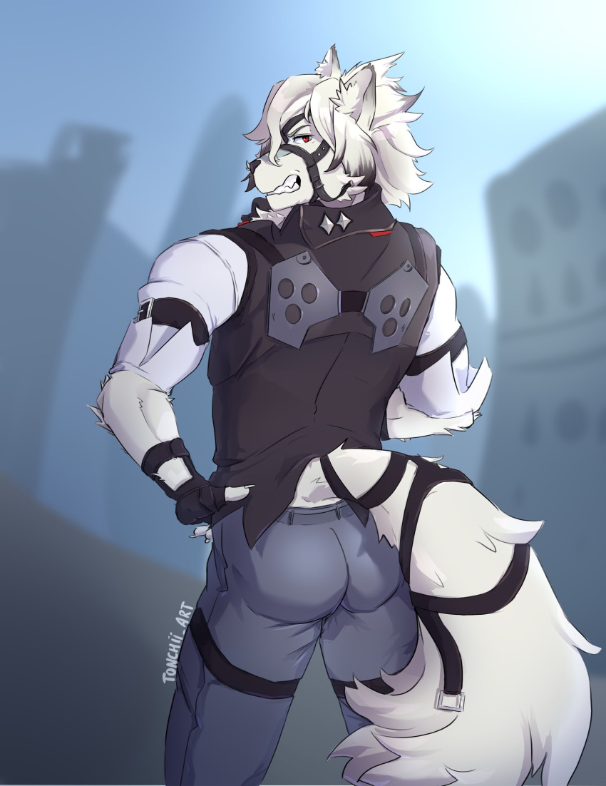 2022 angry anthro artist_name big_tail bottomwear butler butt canid canine canis city clothing hand_on_hip harness hi_res looking_back male mammal mihoyo pants solo teeth tonchii topwear video_games von_lycaon wolf zenless_zone_zero