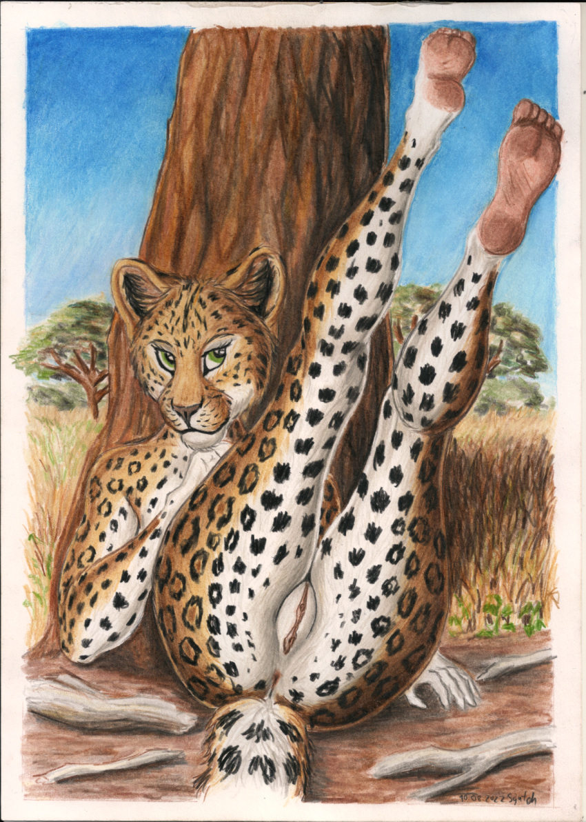 anthro anus feet felid female genitals ground hi_res legs_up leopard looking_at_viewer mammal nude pantherine plant plantigrade pussy savanna solo spots spotted_body syntech traditional_media_(artwork) tree